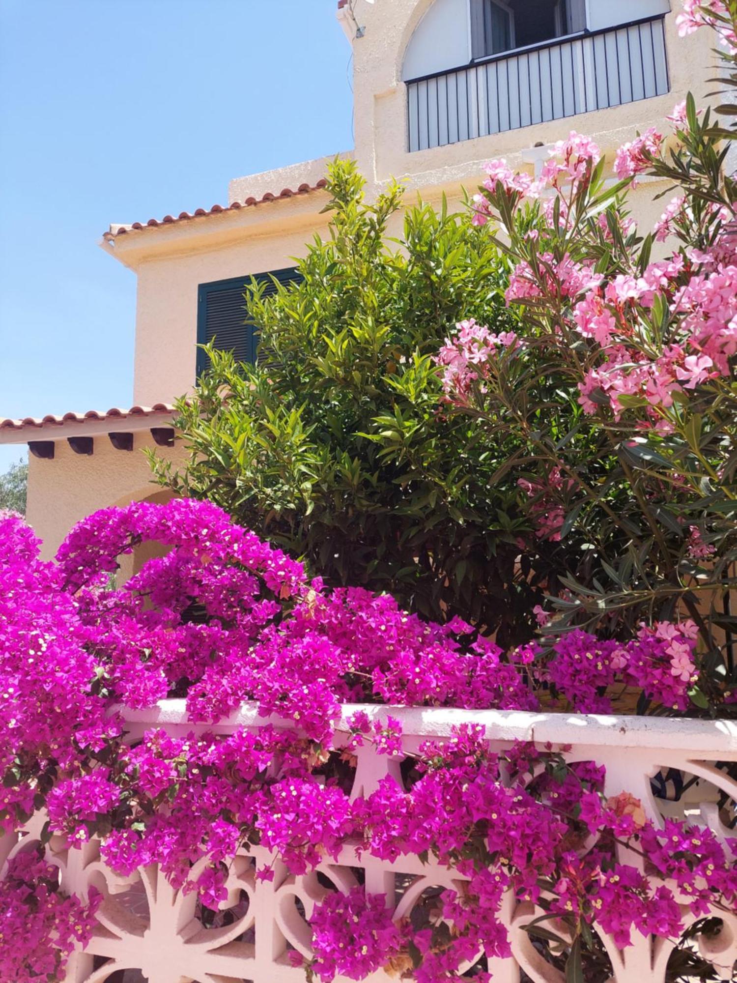 Haus Am Meer Torrevieja Bagian luar foto